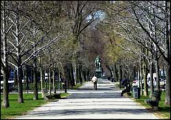 Commonwealth Avenue Mall