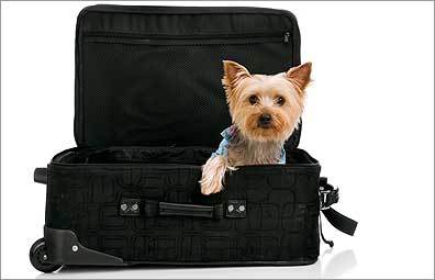 Pet-friendly hotels around Boston Pet-friendly hotels around Boston