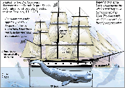 The Two Brothers whaleship