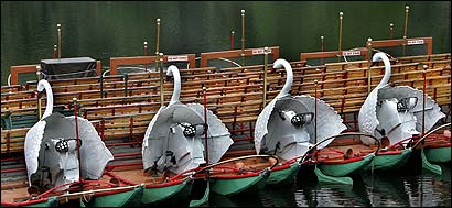With the weather keeping riders indoors, the swan boats in the Boston Public Garden's pond remained docked yesterday.