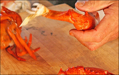 After that, remove the knuckles and claws from the body. Grab one to the claws close to the body of the lobster, and twist and pull.