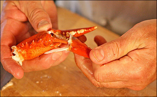 To get the meat out of the claw, you can sometimes pull the two ‘pinchers’ apart with just your hands.