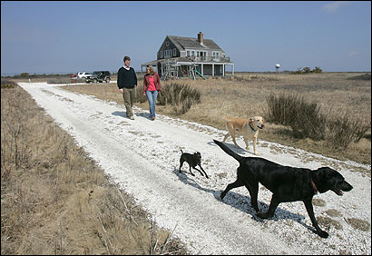 Eric Shaw, Connie Mundy, and their three dogs took a stroll to Madequecham Beach from their house on Nantucket. The municipal airport, where Shaw keeps a plane, abuts the property.