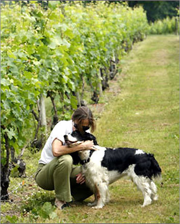 Nancy Parker Wilson and her family own Greenvale Vineyards. She is walking along Cabernet Franc vines with Daisey.