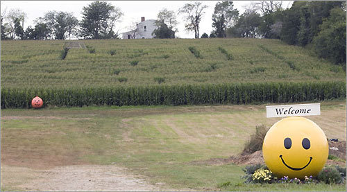 The corn maze at Escobar's Highland Farm.