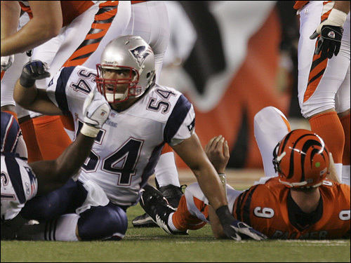 Tedy Bruschi (54) pumped his fist after taking down Carson Palmer (9).