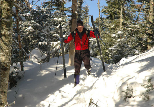 Ski report wildcat nh trail