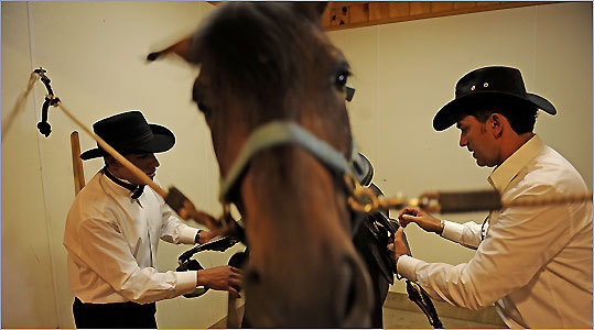 Luis Vasco (right) and Juan Paredes get Vasco's Paso Fino horse Andrioto ready to take part in a fair at the Paso Fino del Fuego Farm in Middleborough.