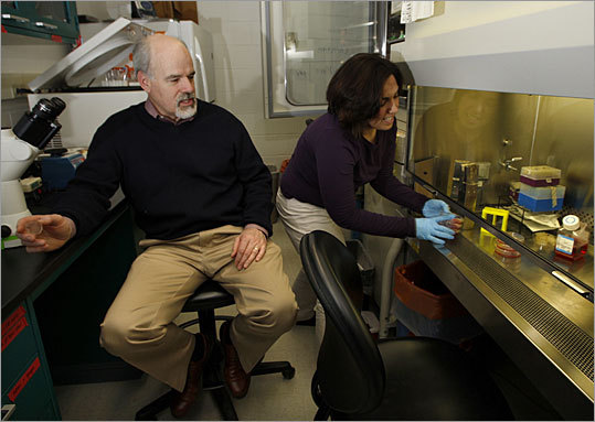 Brown University associate professor Jeffrey R. Morgan (above, with student Toni-Marie Ferruccio) has designed a 3-D honeycomb-like mold that holds artificial clusters of cells and reduces the need for animals for research in the lab.