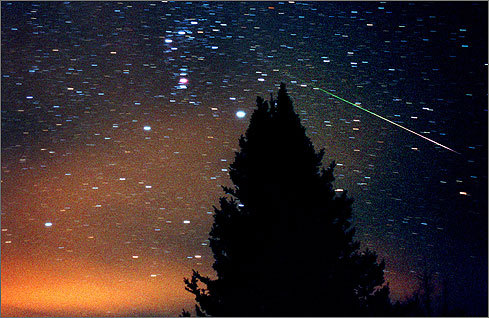 In this November 2001 photo, a balsam tree was silhouetted against the western sky during a Leonids shower in Duluth, Minn. The Orion constellation is visible to the left above the tree. The diagonal streak is a meteor.