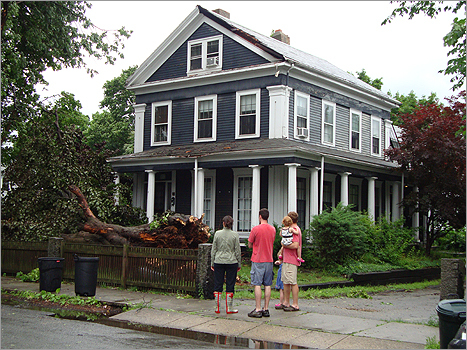 Locals gathered on Winter Street in Arlington where a 250-year-old tree fell victim to the storm.