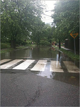 Water flooded a road in East Arlington.