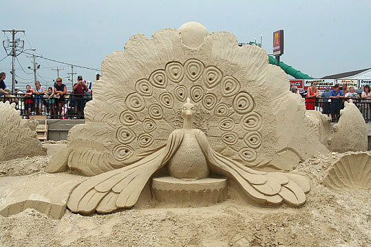 A giant peacock graces the center of the competition area.