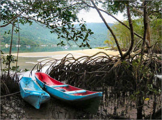 As well as its 107 beaches, Ilha Grande's coastline includes areas of rocky headland, sand banks, lagoons, and mangrove swamp.