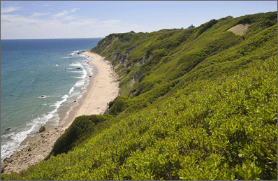 On Block Island: Take a walk on the wild side