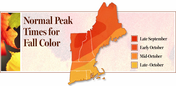 How to See New England Fall Foliage at Its Peak