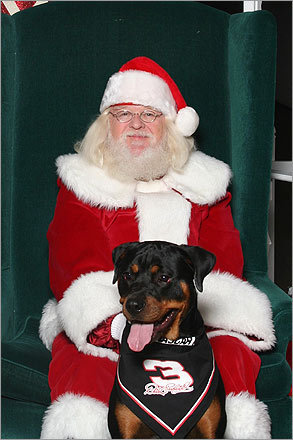 Since the dog is a bit different than his normal visitors, Santa looks a bit nervous around Bubba Mayo. But the Marshfield dog was on his best behavior and decked out in racing gear.