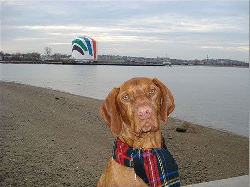 Miles, of Quincy, poses on the beach.