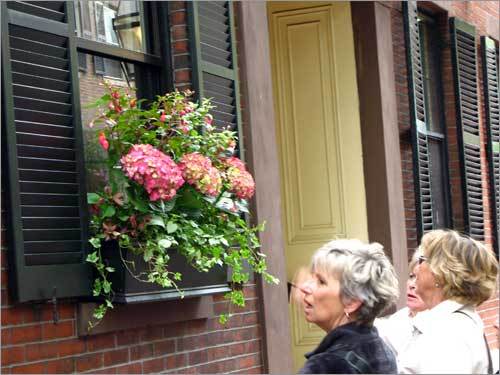 Women admiring a window box.
