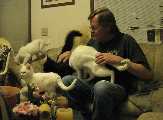 Don confesses on the show about his hoarding of cats.