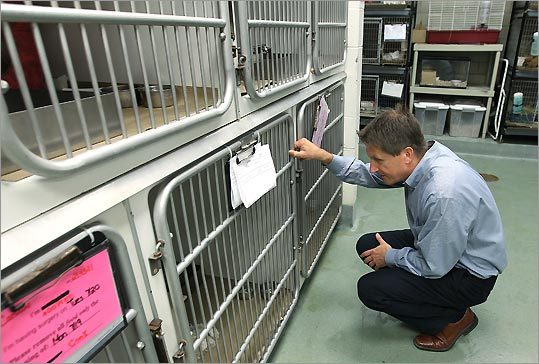 Dr. Patronek is pictured on his daily walk through the adoption shelter at the Animal Rescue League of Boston.