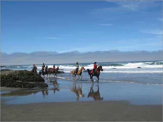 WHAT A RUSH Guests at the Ricochet Ridge Ranch in Cleone, California, get to ride seaside along the Mendocino coastline.