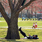 Boston Common Boston Common