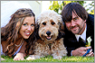 pets at weddings