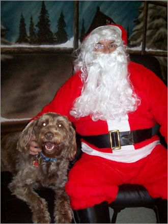 Owner Carolyn said, 'Logan was very excited to sit on Santa's lap. His brother, Lenny, was too scared.'