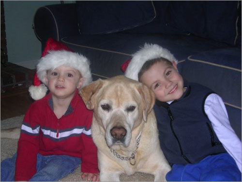 Brendan, Ryan and Schooner pose for one of many Christmas pictures at home in Marshfield. Owner Stephanie said, 'Sadly, this was the last Christmas photo Schooner was in. He is greatly missed.'