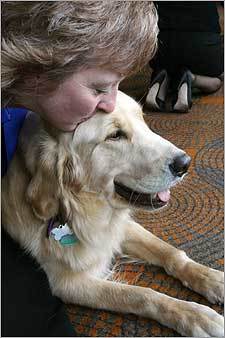 4.Golden Retriever Debbie Parkhurst, of North East, Md., kissed her her golden retriever Toby at the 2007 ASPCA Humane Awards Luncheon in New York on Nov. 1, 2007 where Toby received the ASPCA Dog of the Year award for performing a modified Heimlich maneuver on Parkhurst when she was choking on a piece of apple. MAP Boston's dog-friendly places YOUR PHOTOS Dogs on winter vacation SUBMIT Photos of dogs in the snow