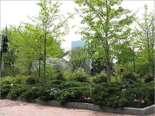 The Codman Traffic Island with flowers and plants.