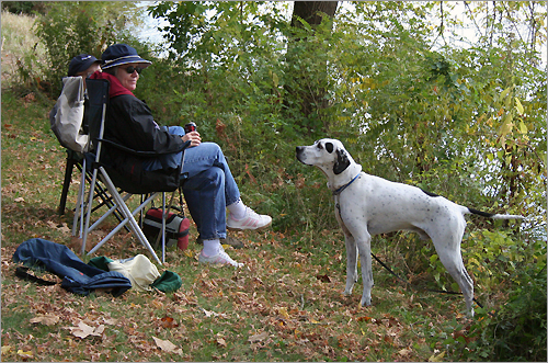 Some onlookers brought camping chairs — as well as their canine friends.