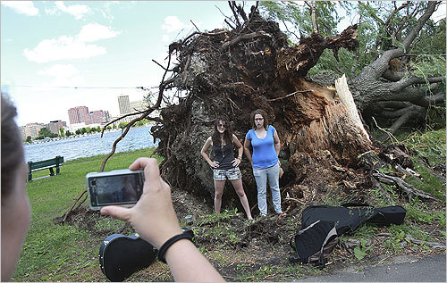 Berklee College students (left to right) Pam Autuori and Lydia Fischer had their photo taken in front of one of the trees.