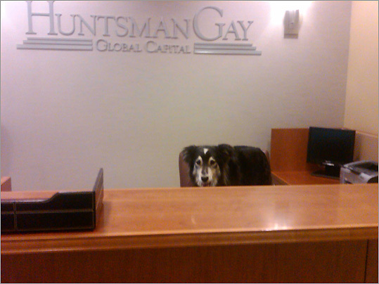 Ben Thorndike of Dover submitted this photo of Remy, taken at the reception desk.