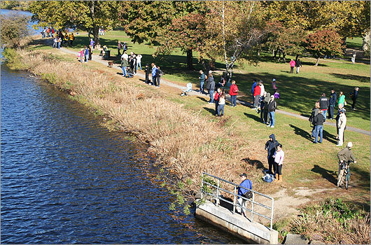 Spectators on the banks of the river, as seen from the Larz Anderson Bridge.
