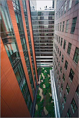 Dana-Farber's Yawkey Center for Cancer Care was built with green and sustainable features, including green roofs, automatically dimming lights, automatic shades, and low-flow plumbing. The green roofs use low growing indigenous plants to help naturally cool the building in the summer as well as to help absorb rain to reduce water runoff into the sewer system.