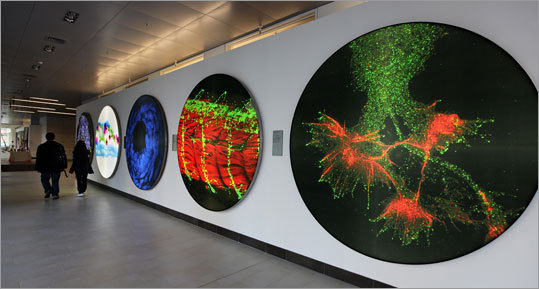 Images of viruses, cells, and proteins are displayed at MIT's new cancer research center.