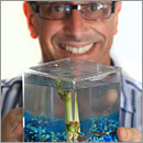 Bosses and their toys Bosses and their toys