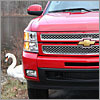 A Silverado's swan song