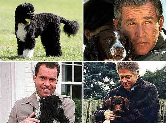 presidential dogs in the white house