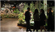 The 2011 Boston Flower and Garden Show