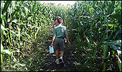 N.E.'s corn mazes N.E.'s corn mazes