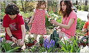 Spring gardening calendar and tips