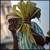 Easter and Holy Week from around the globe