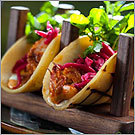 Swan Boats Swan Boats