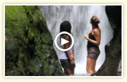 Going green in Martinique