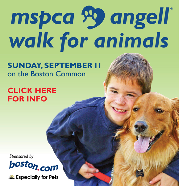 Not able to view this most recent offer, announcement or information on events around Boston? Then enable your images and make sure to add newsletters@boston.com to your address book!