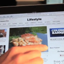 description of image content