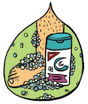 Head & Shoulders & Knees & Toes